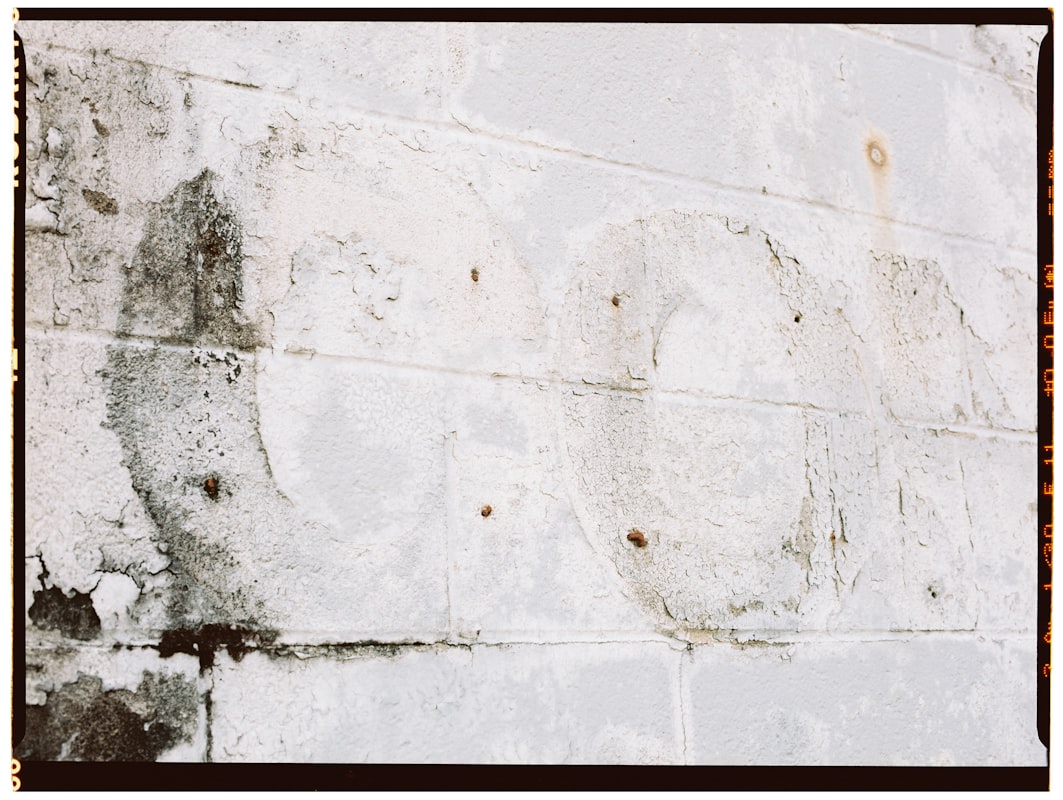 Basement Water Removal service in Lehi, UT